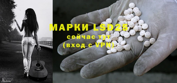 мяу мяу мука Горно-Алтайск