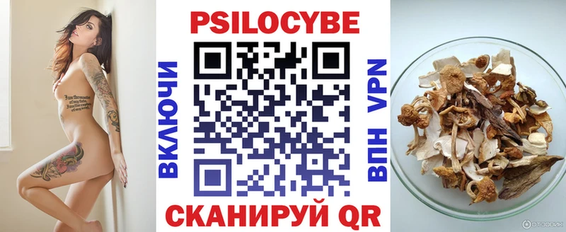 Псилоцибиновые грибы мицелий  Калуга 