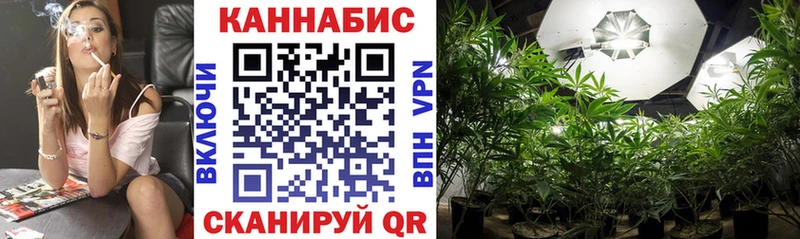 Бошки Шишки OG Kush  хочу наркоту  Калуга 